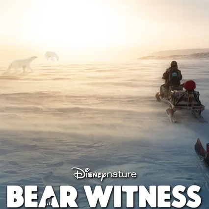 Miniature photo du film : Bear Witness