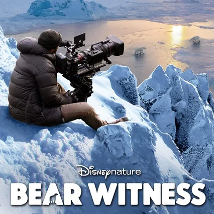 Miniature photo du film : Bear Witness