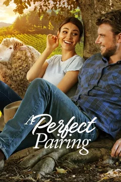 Affiche du film Un accord parfait