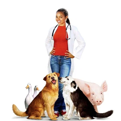 Miniature photo du film : Docteur Dolittle 3
