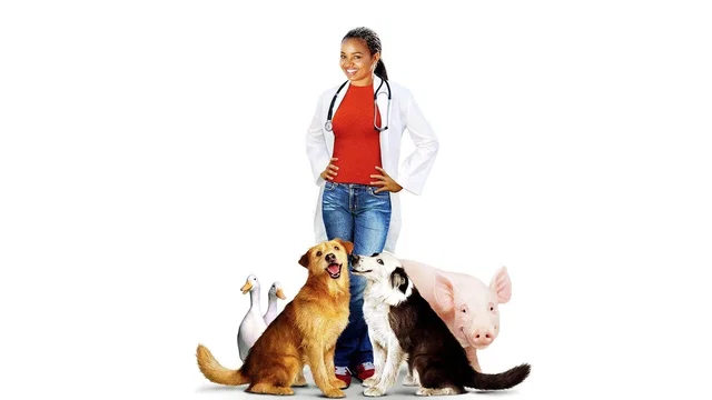 Photo du film : Docteur Dolittle 3