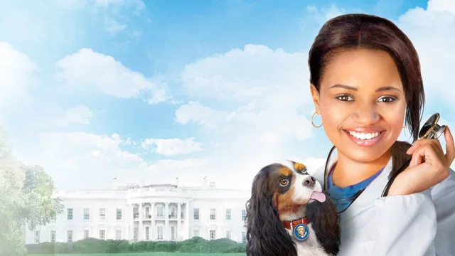 Photo du film : Docteur Dolittle 4