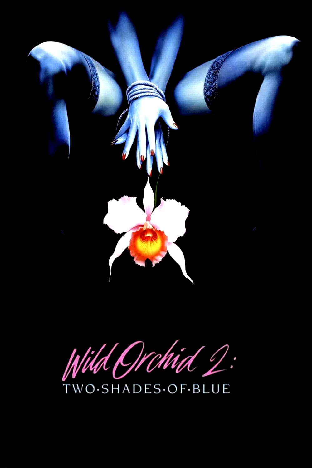 Photo du film : Wild Orchid II: Two Shades of Blue