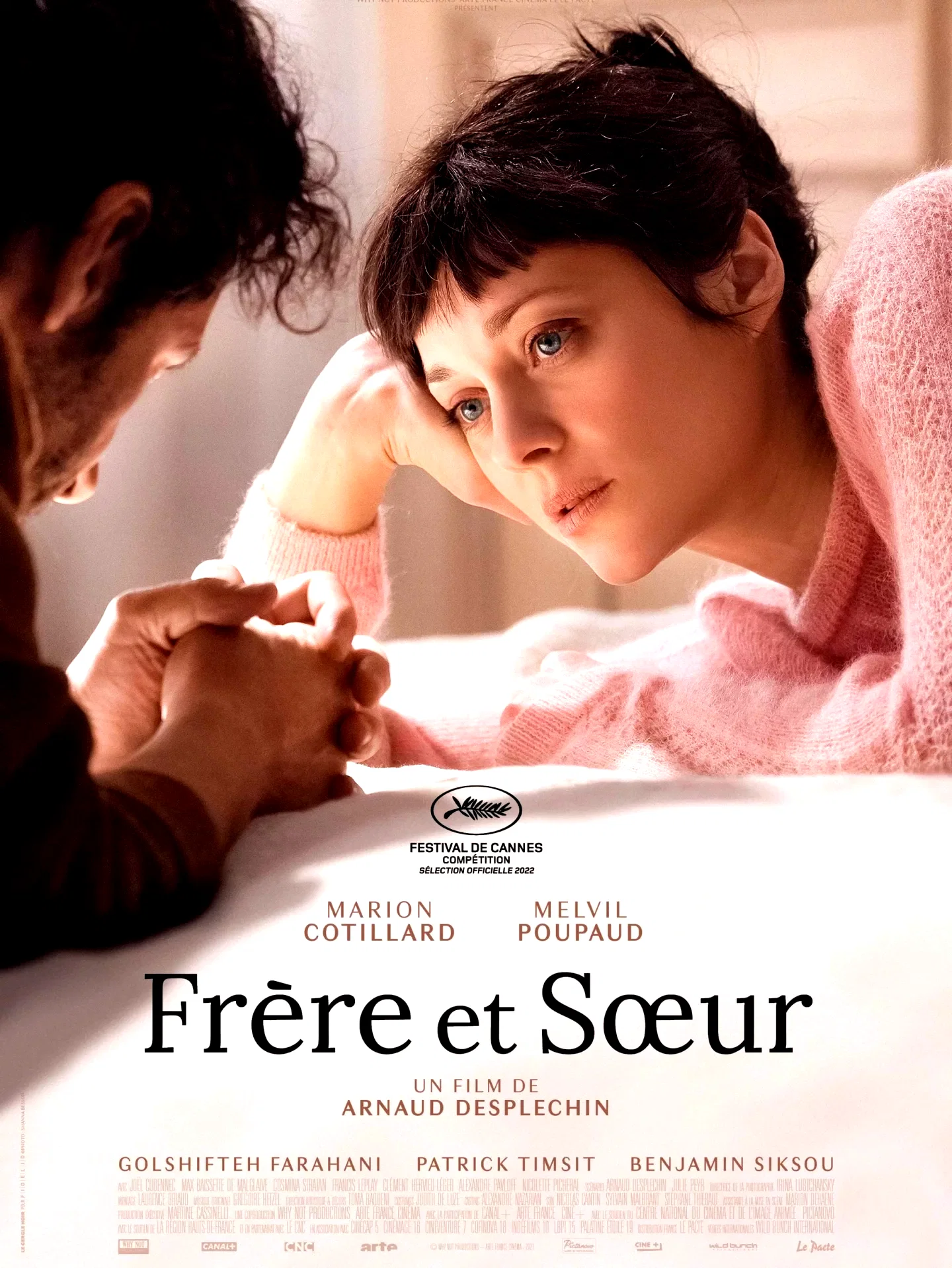 Affiche du film : Frère et sœur