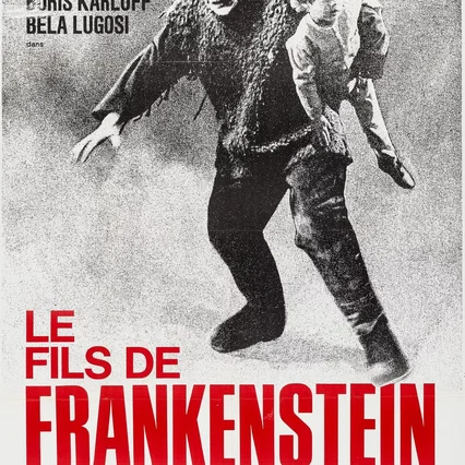 Miniature photo du film : Le Fils de Frankenstein