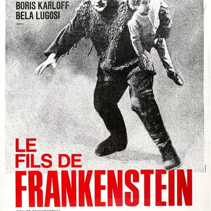 Miniature photo du film : Le Fils de Frankenstein