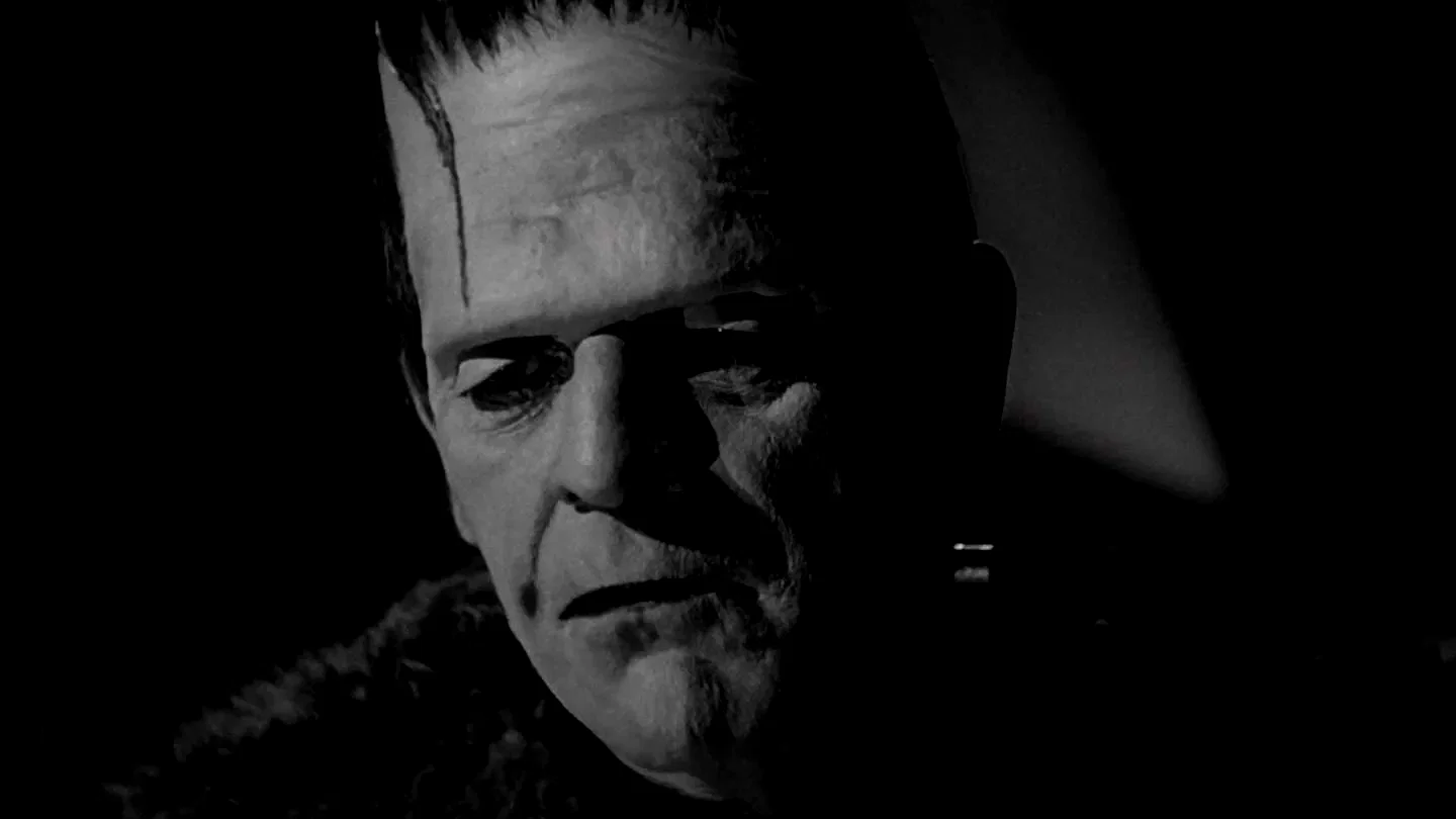 Photo du film : Le Fils de Frankenstein