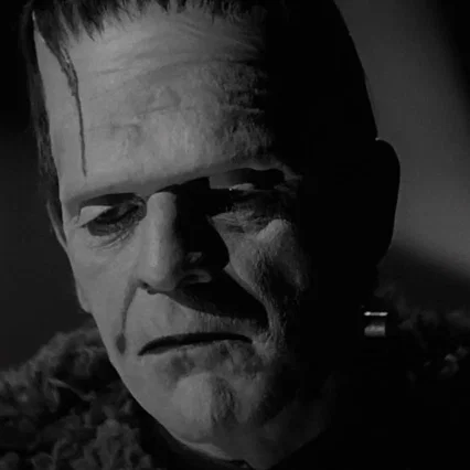 Miniature photo du film : Le Fils de Frankenstein