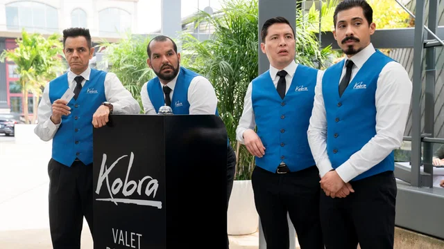 Affiche du film : The Valet