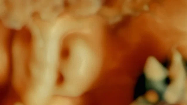 Affiche du film : De Humani Corporis Fabrica