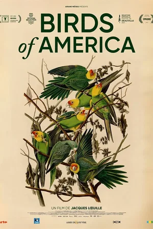 Affiche du film : Birds of America