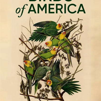 Miniature photo du film : Birds of America