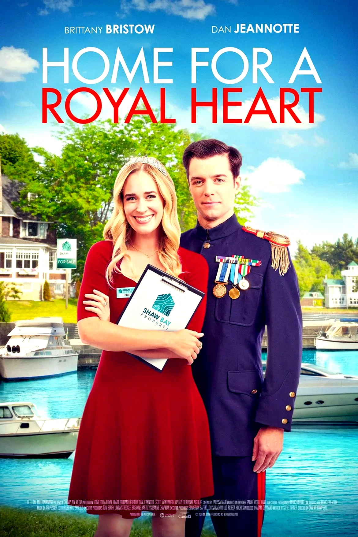 Affiche du film : Prince Charmant cherche maison