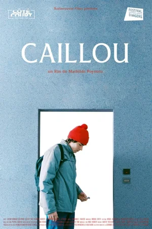 Affiche du film : Caillou