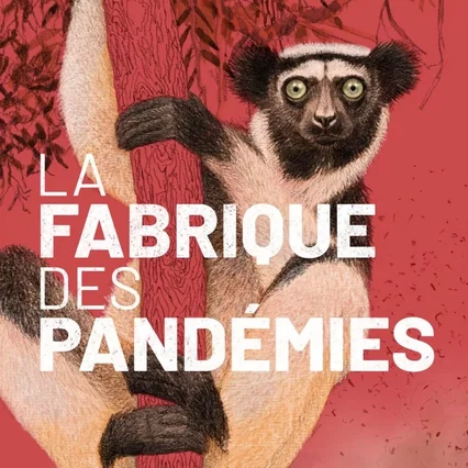 Miniature photo du film : La fabrique des pandémies