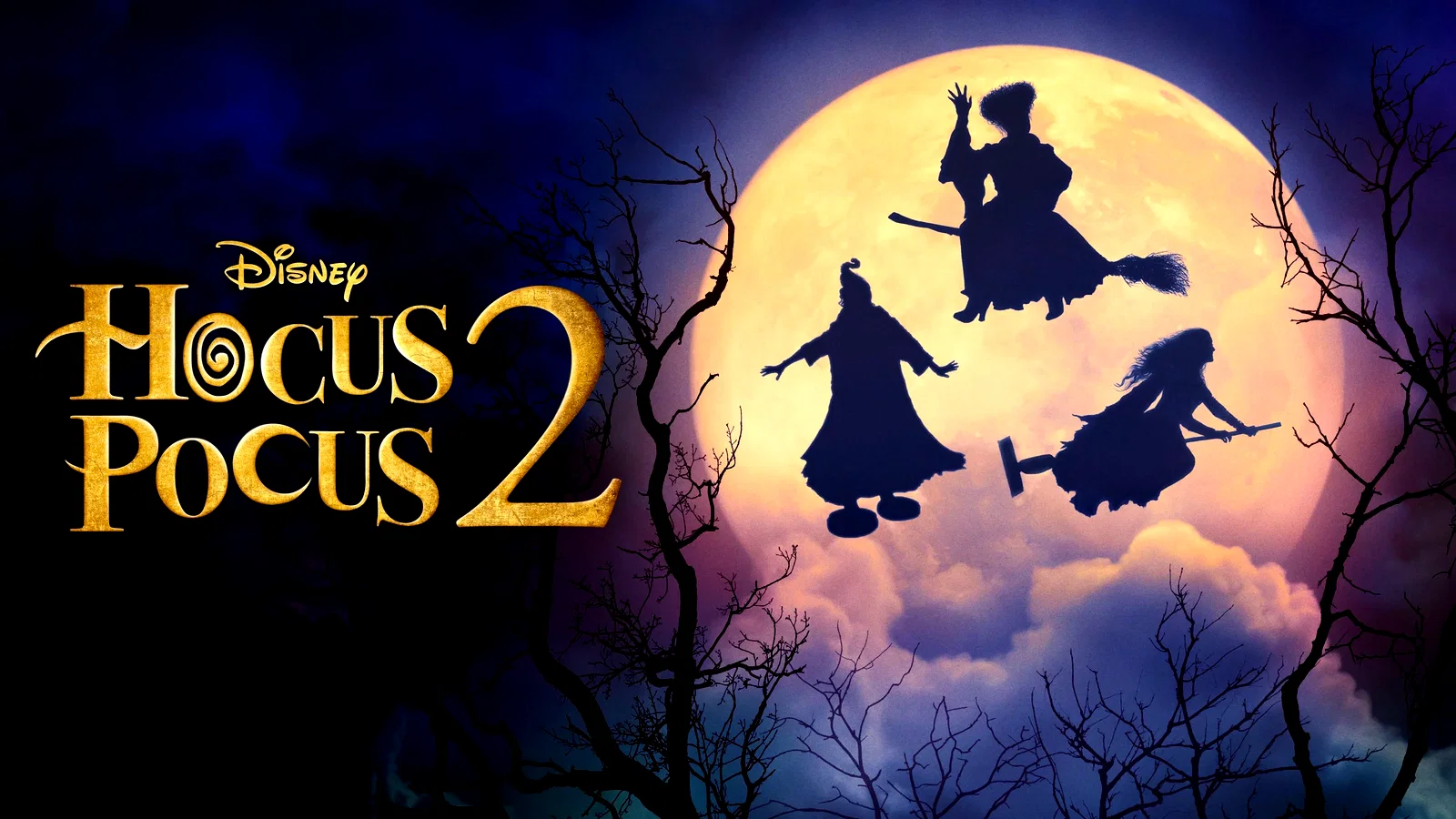 Photo 1 du film : Hocus Pocus 2