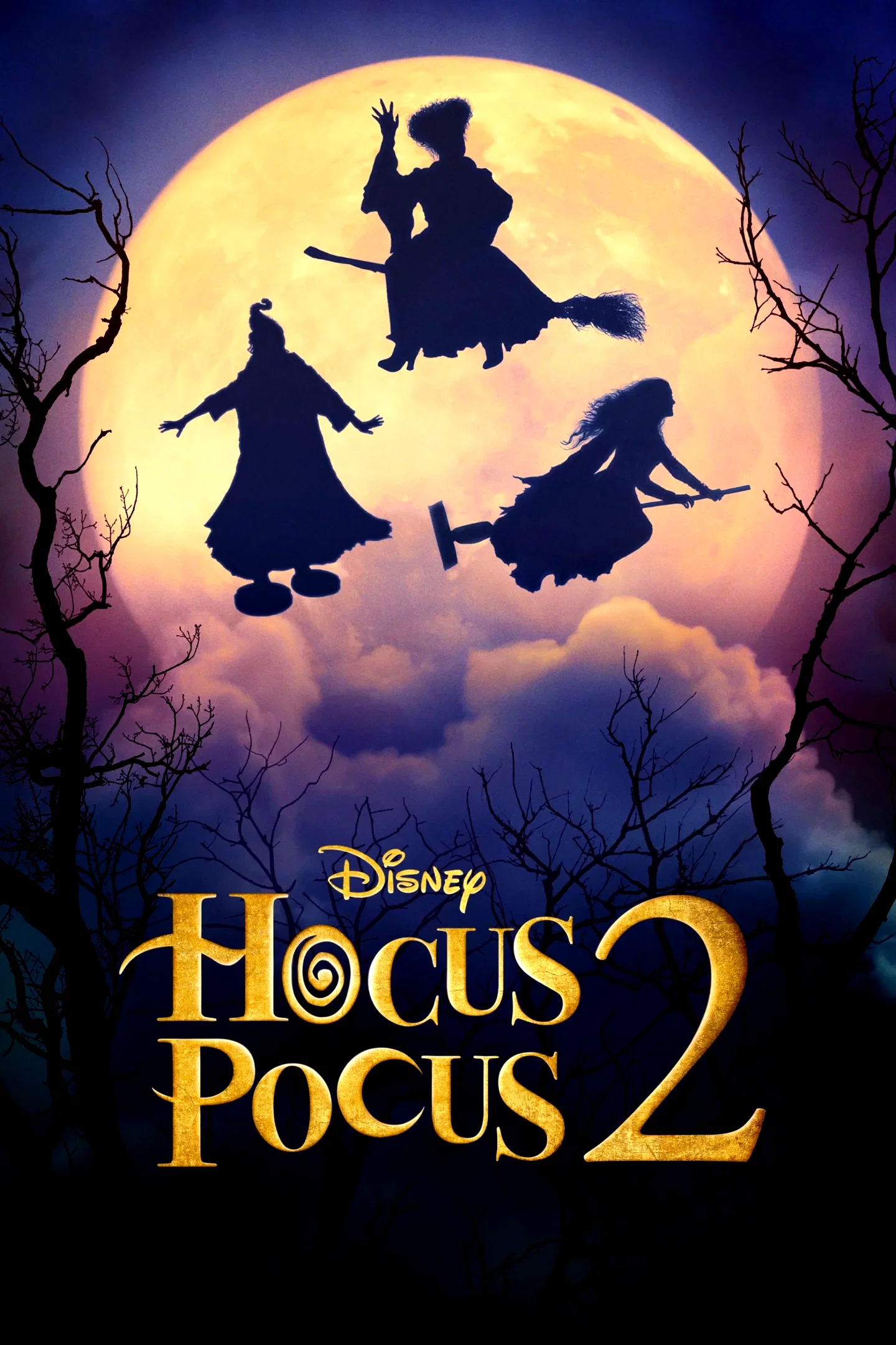 Affiche du film : Hocus Pocus 2