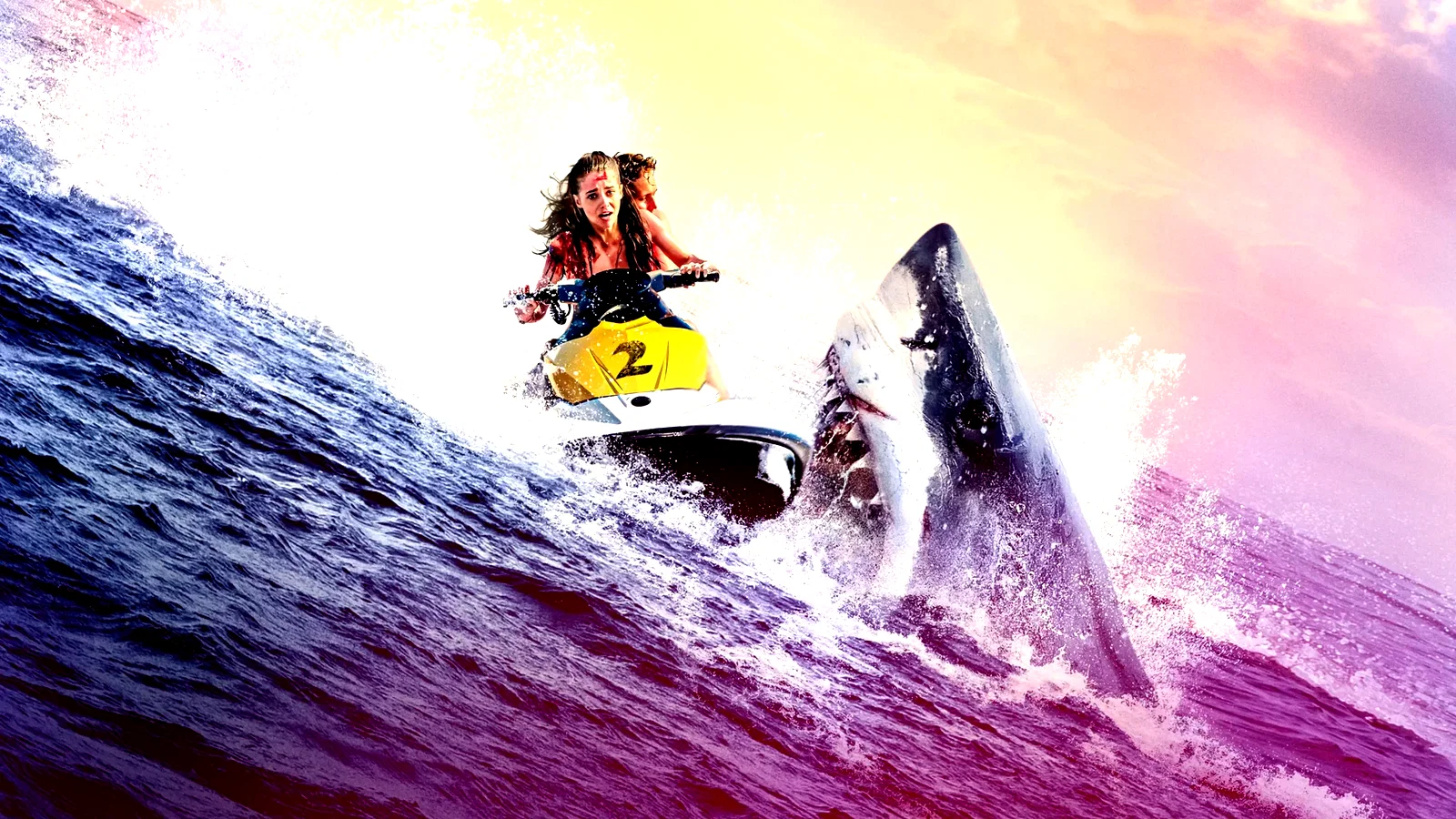 Photo 4 du film : Shark Bay