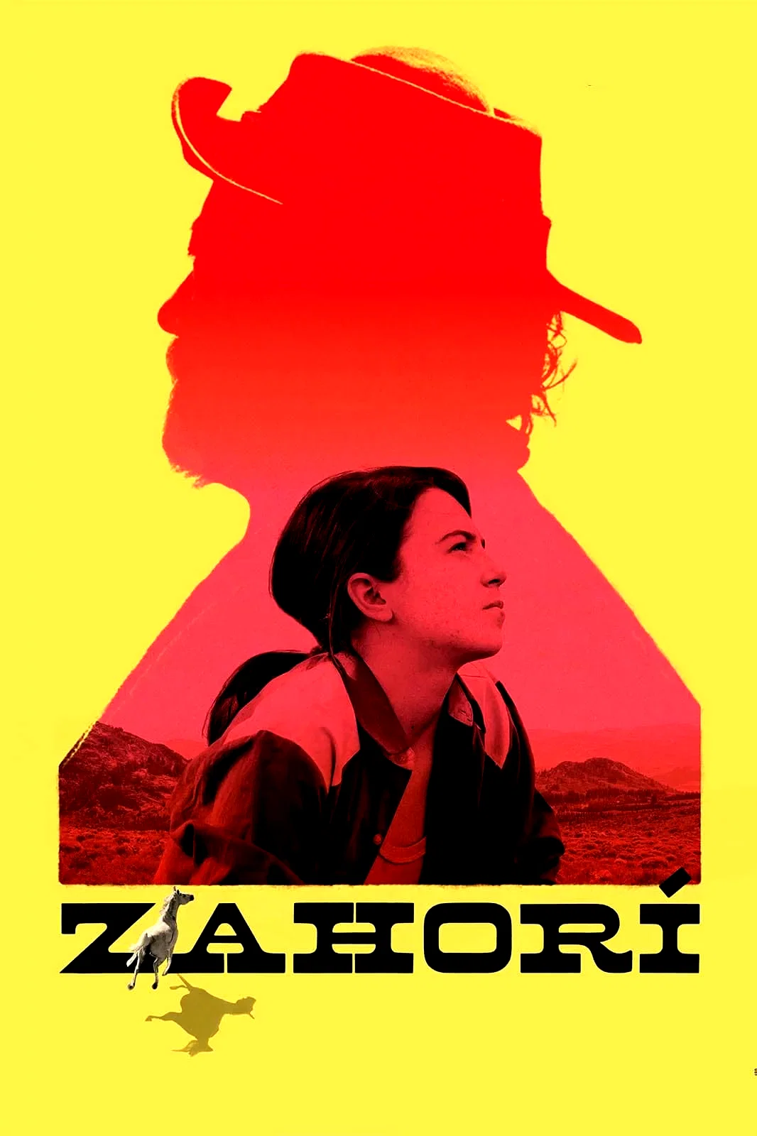 Affiche du film : Zahorí