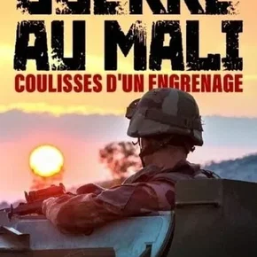 Photo du film : Guerre au Mali,  coulisses d’un engrenage