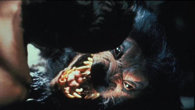 Photo du film : Hurlements V - La Re-Naissance