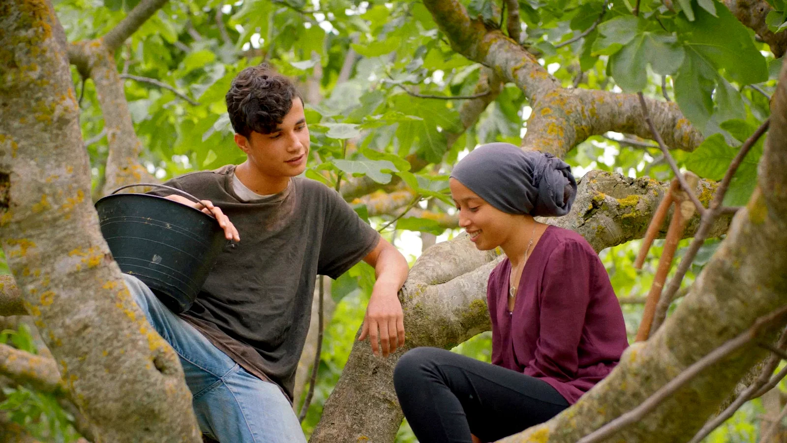 Photo 3 du film : Sous les figues