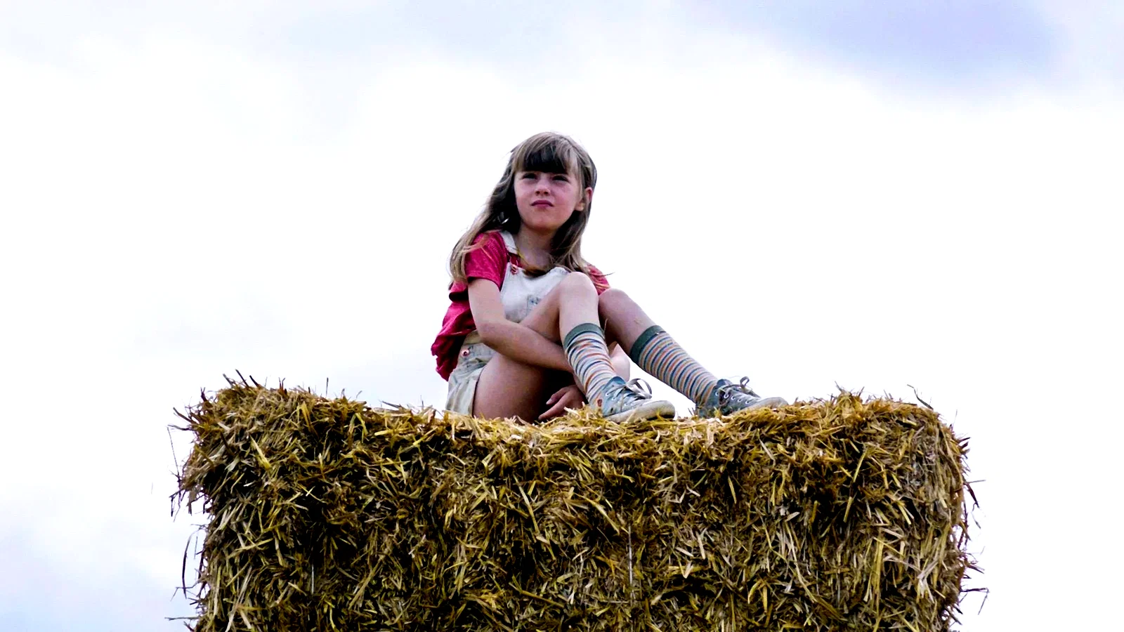 Photo du film : Reine d'un été