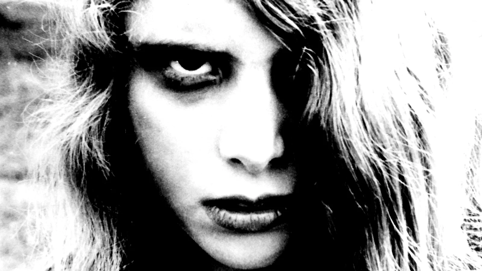Photo 6 du film : La Nuit des morts-vivants