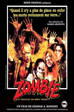 Affiche du film Zombie