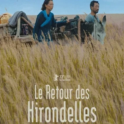 Miniature photo du film : Le Retour des hirondelles