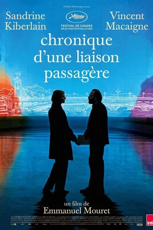 Affiche du film : Chronique d'une liaison passagère