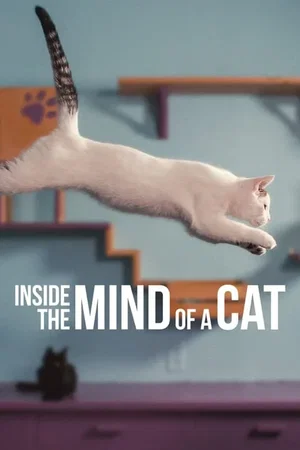 Photo 2 du film : Notre langue aux chats