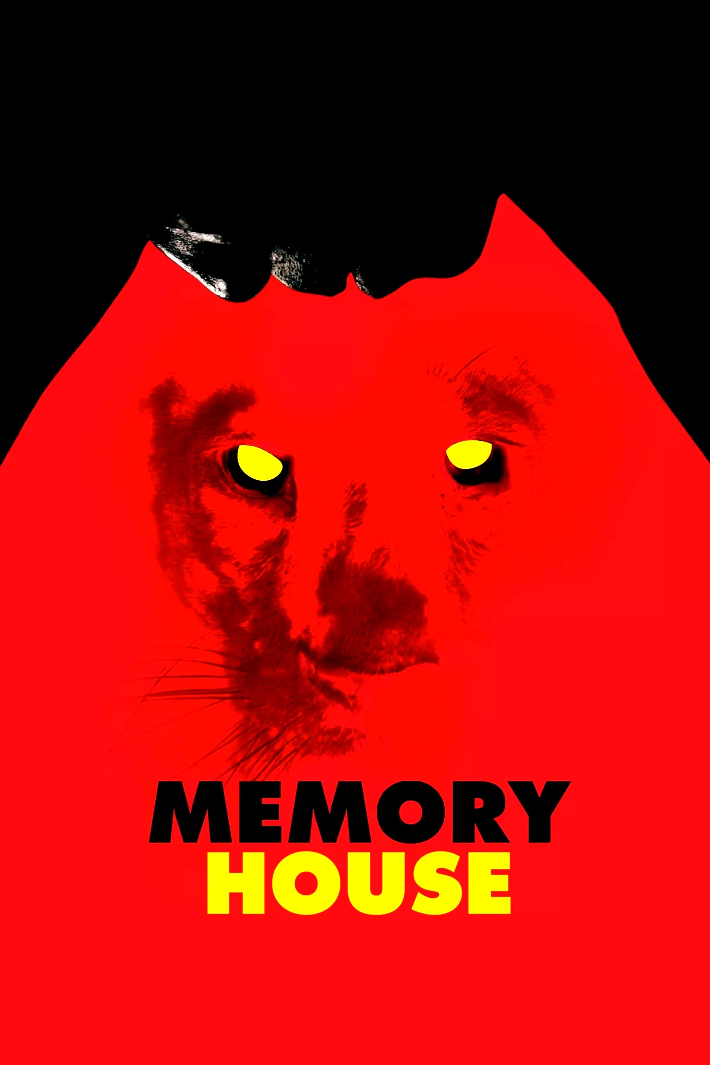 Affiche du film : Memory House