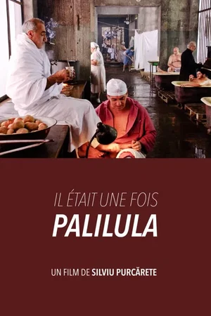 Photo 2 du film : Il était une fois Palilula