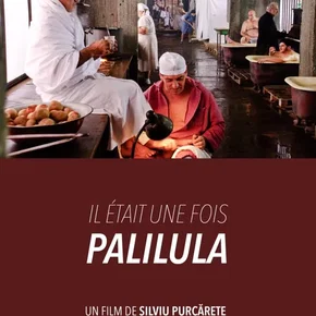 Photo du film : Il était une fois Palilula