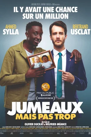 Affiche du film : Jumeaux mais pas trop