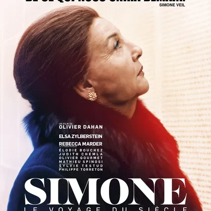 Miniature photo du film : Simone, le voyage du siècle