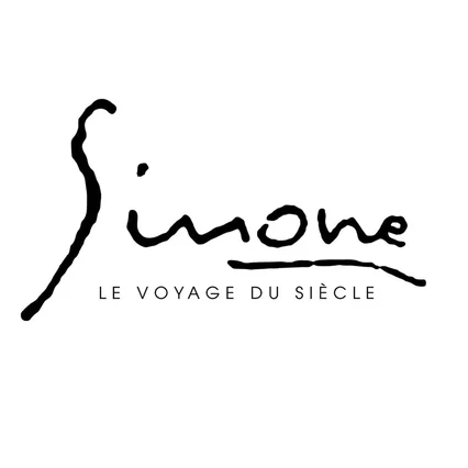 Miniature photo du film : Simone, le voyage du siècle