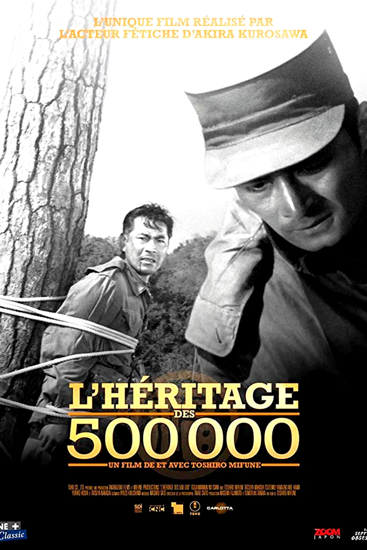 Affiche du film : L'héritage des 500 000
