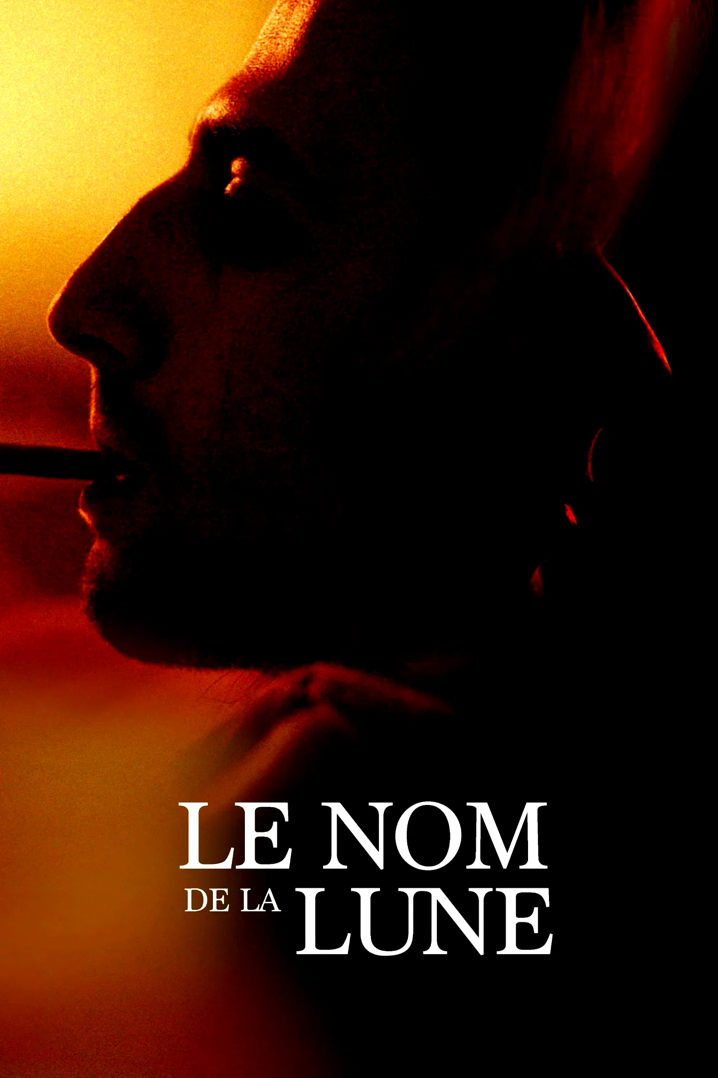 Affiche du film : In the name of the moon