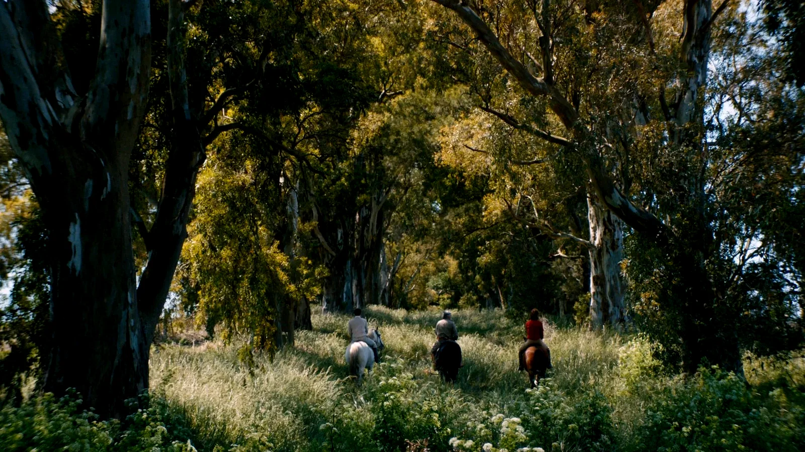 Photo 3 du film : Azor