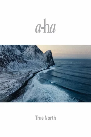 Photo du film : a-ha: TRUE NORTH