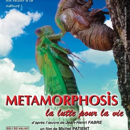 Miniature photo du film : Metamorphosis, la lutte pour la vie