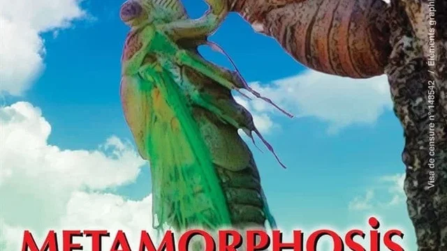 Affiche du film : Metamorphosis, la lutte pour la vie