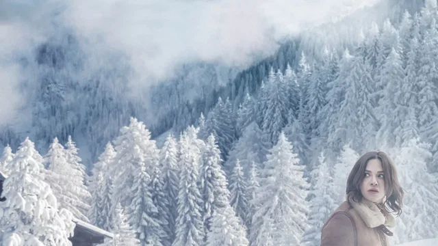 Affiche du film : Seule : les dossiers Silvercloud