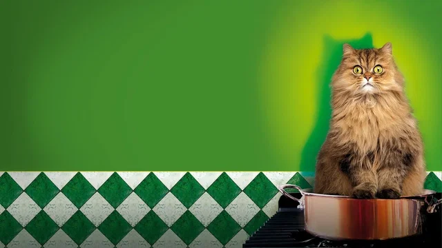 Affiche du film : Complètement Cramé !