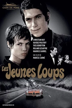 Affiche du film Les jeunes loups