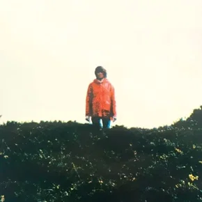 Photo du film : Enys Men