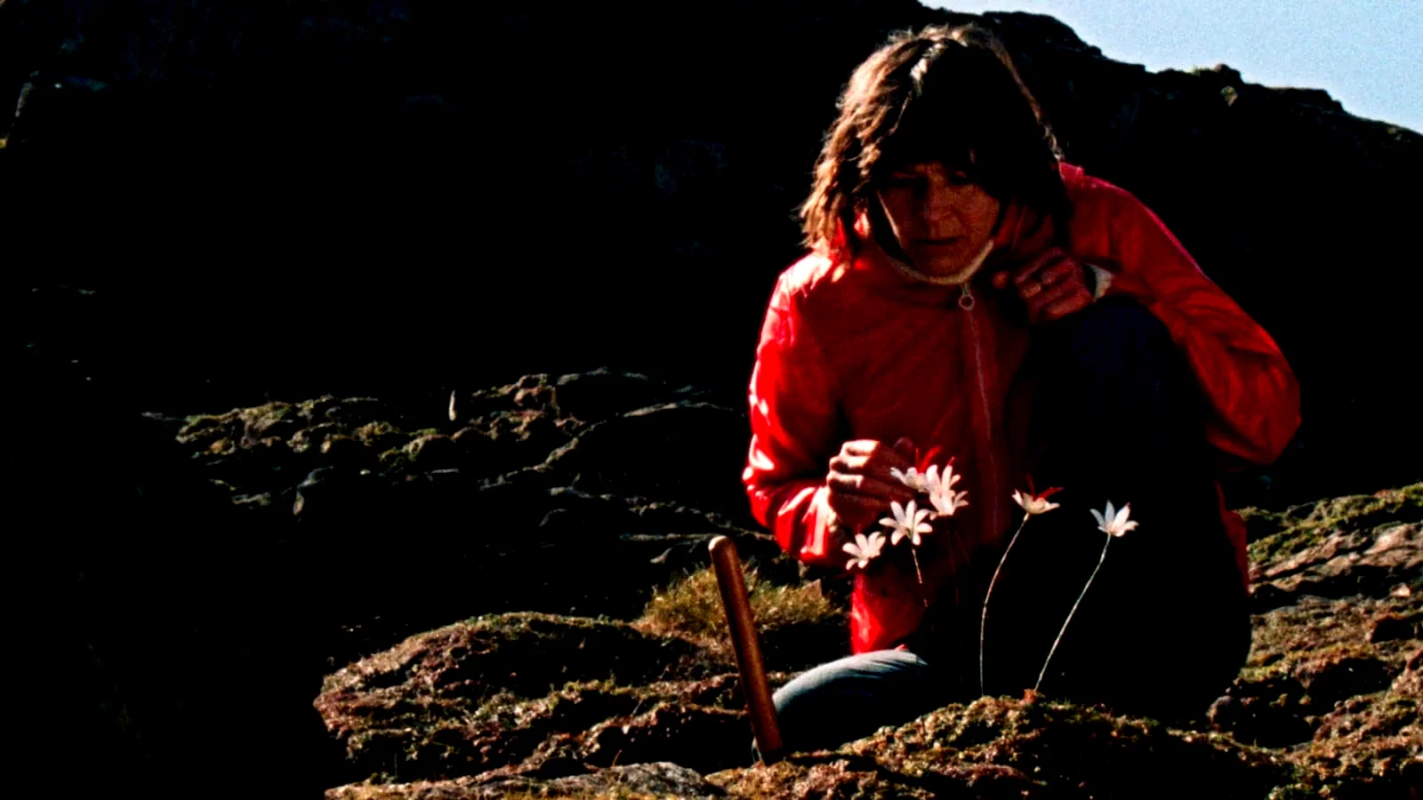 Photo 6 du film : Enys Men