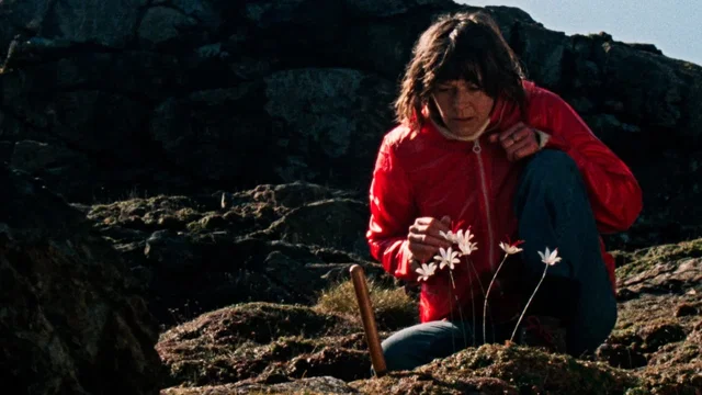 Photo 6 du film : Enys Men